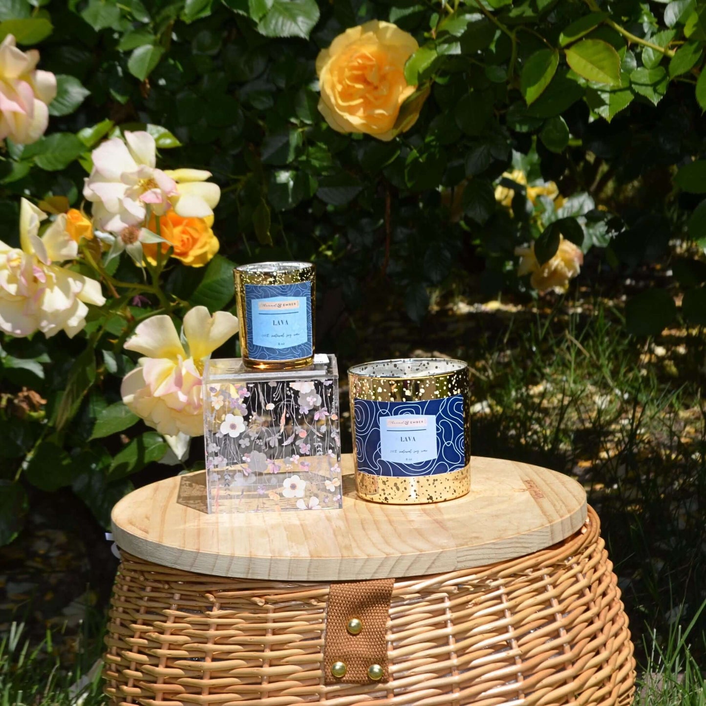 Thread & Ember Lava candle displayed outdoors with a vibrant yellow rose bush, showcasing elegant packaging and decorative floral accents.