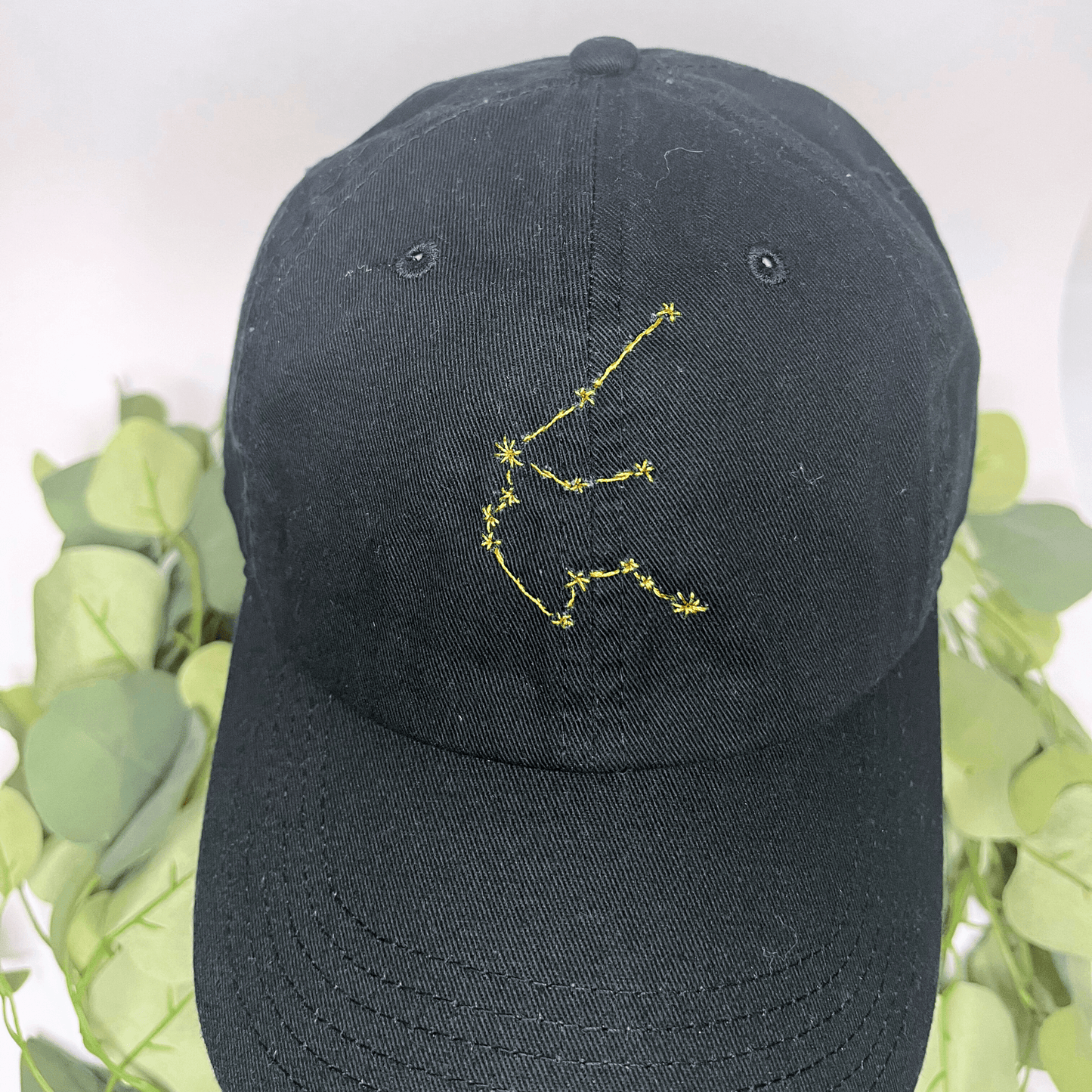 Aquarius Constellation Embroidered Baseball Hat-Thread&Ember