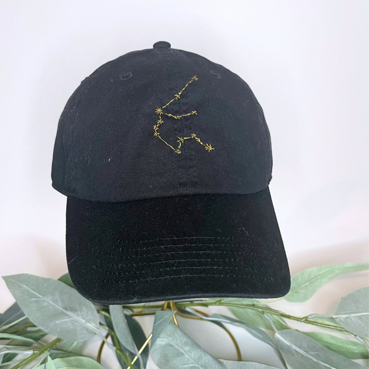 Aquarius Constellation Embroidered Baseball Hat-Thread&Ember